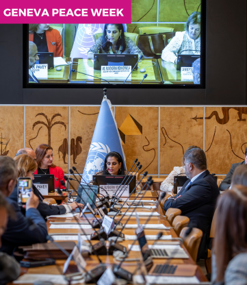 Local Solutions towards Peaceful Coexistence in forced displacement context in MENA and Asia regions